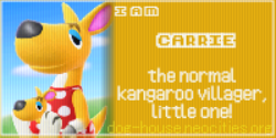 I am Carrie, the normal Kangaroo